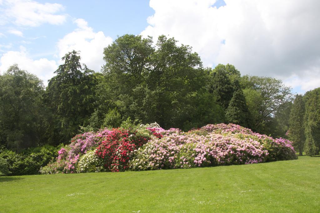 The Wrea Head Hall & Restaurant *