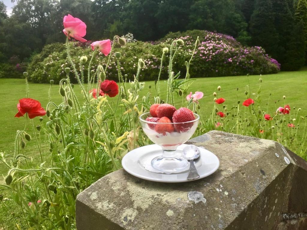 Country house The Wrea Head Hall & Restaurant Scarborough